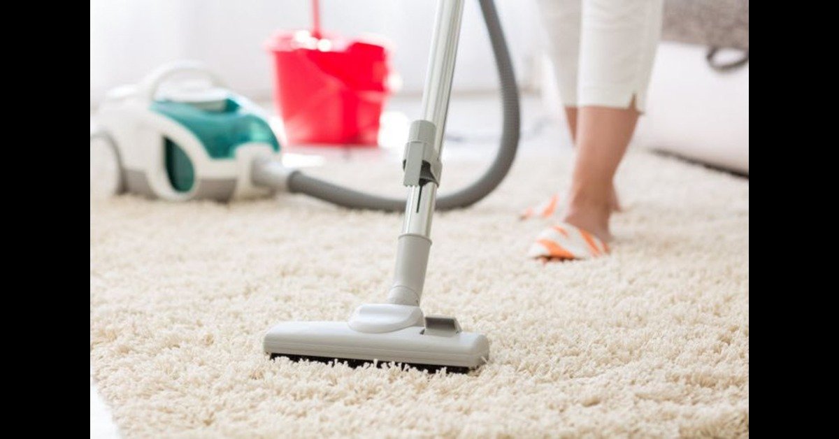 Brooklyn Pet Odor & Stain Removal